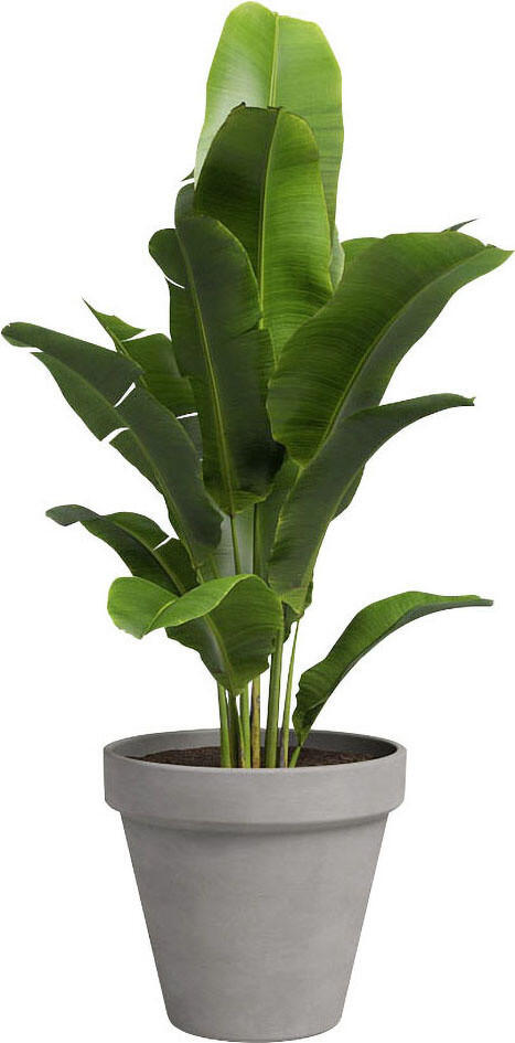 Artevasi Amália Plant Pot – Terracotta Grey – Ø 29 x 24 cm