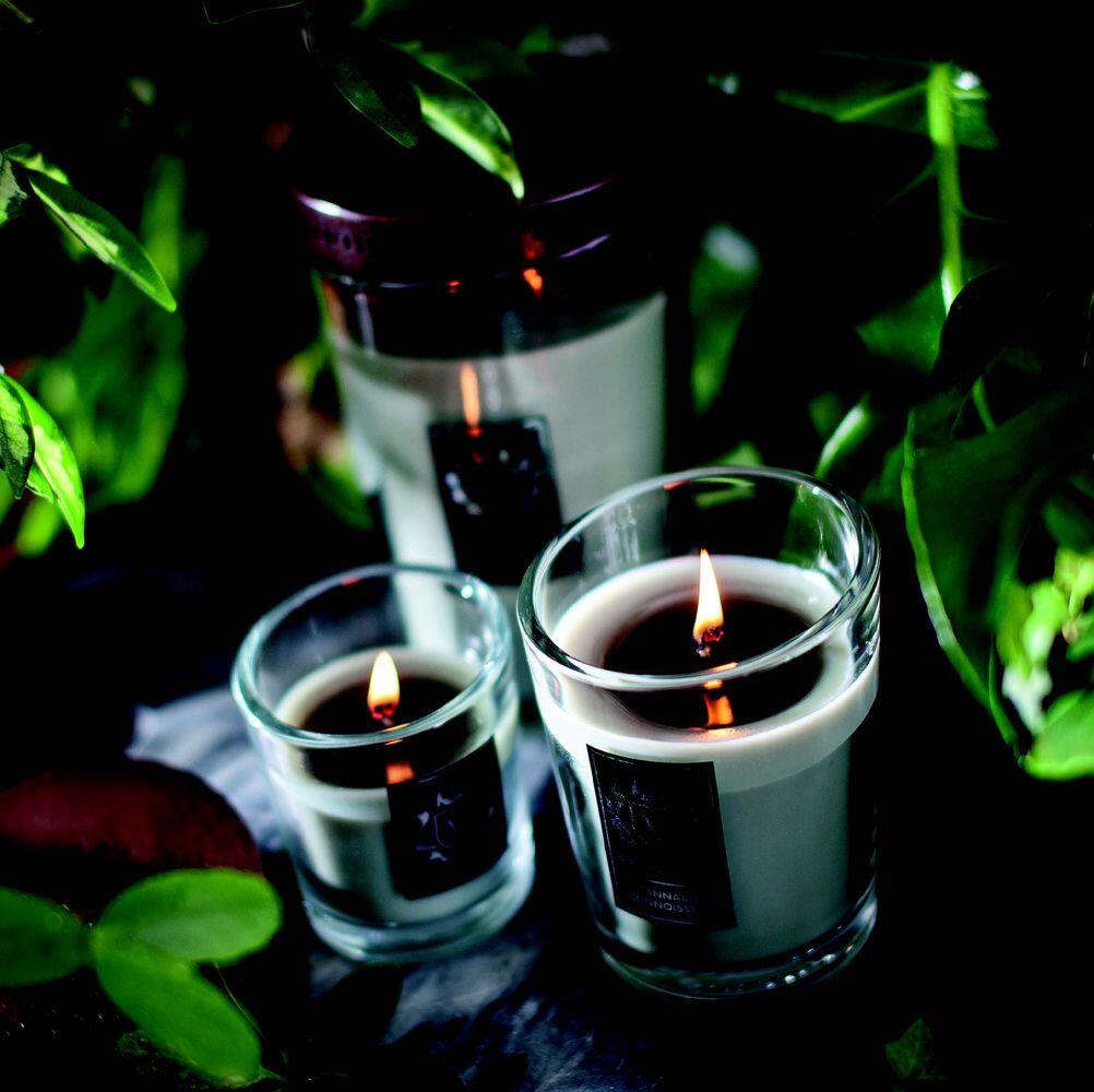 CANNABIS CONNOISSEUR - scented candle