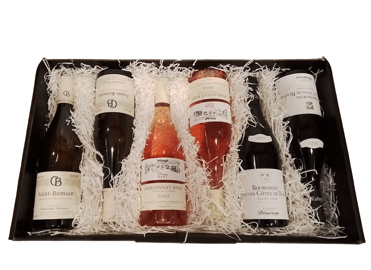 Burgundy wines in color box set