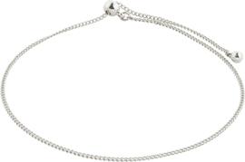 Jewelry Pilgrim