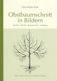 Tier- & Naturbücher Bücher Obst- und Gartenbau Verlag d. Bayer. Landesverbandes f. Gartenbau