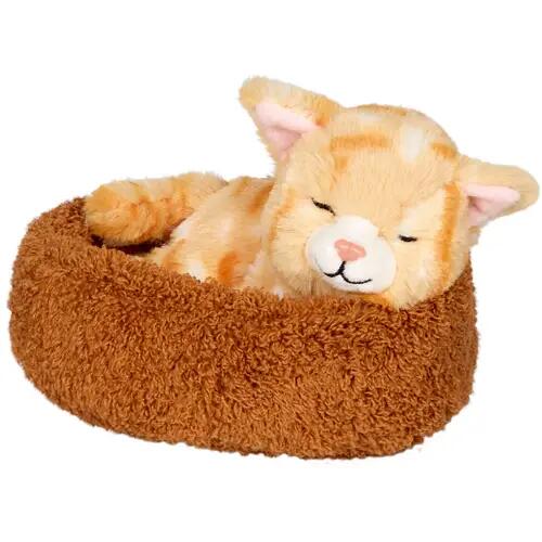 Chatte Chloe endormie dans le panier - Parade d'animaux amusante