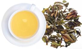 Weißer Tee Tee Gschwendner tea