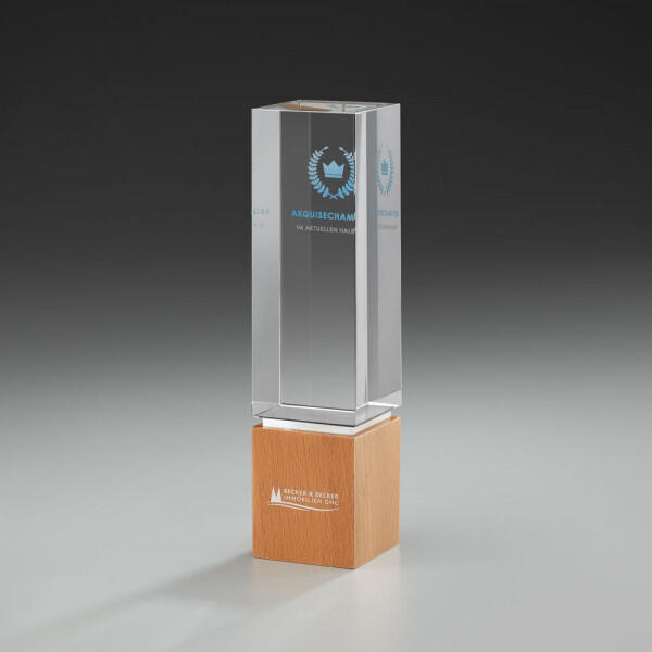 Wooden Light Award 59908, 236x60mm including engraving and/or digital print 