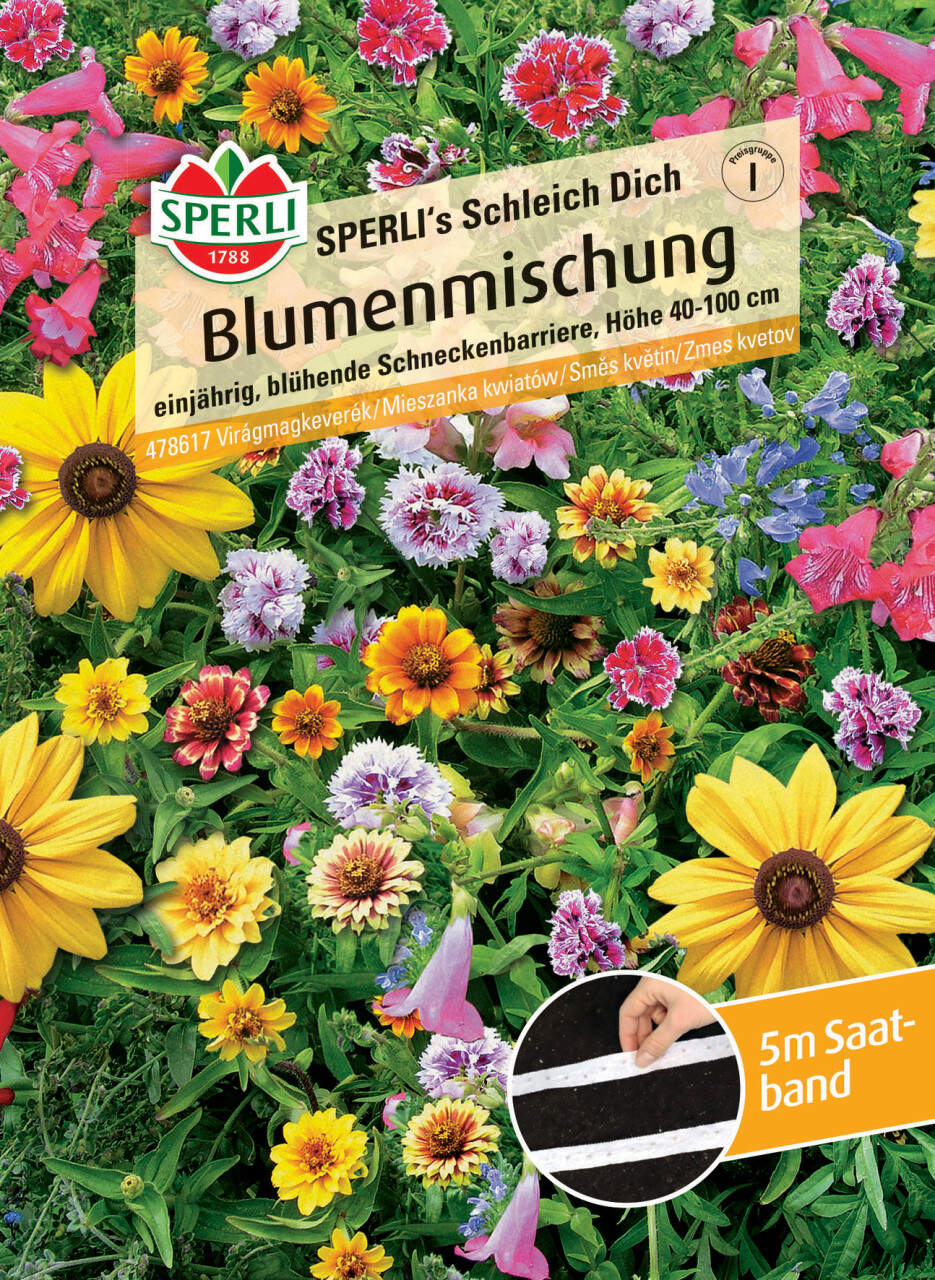 Sperli Blumensamen Bartnelken Vollbart Mischung - Duftende, Zweijährige Blumen Für Beet & Vase