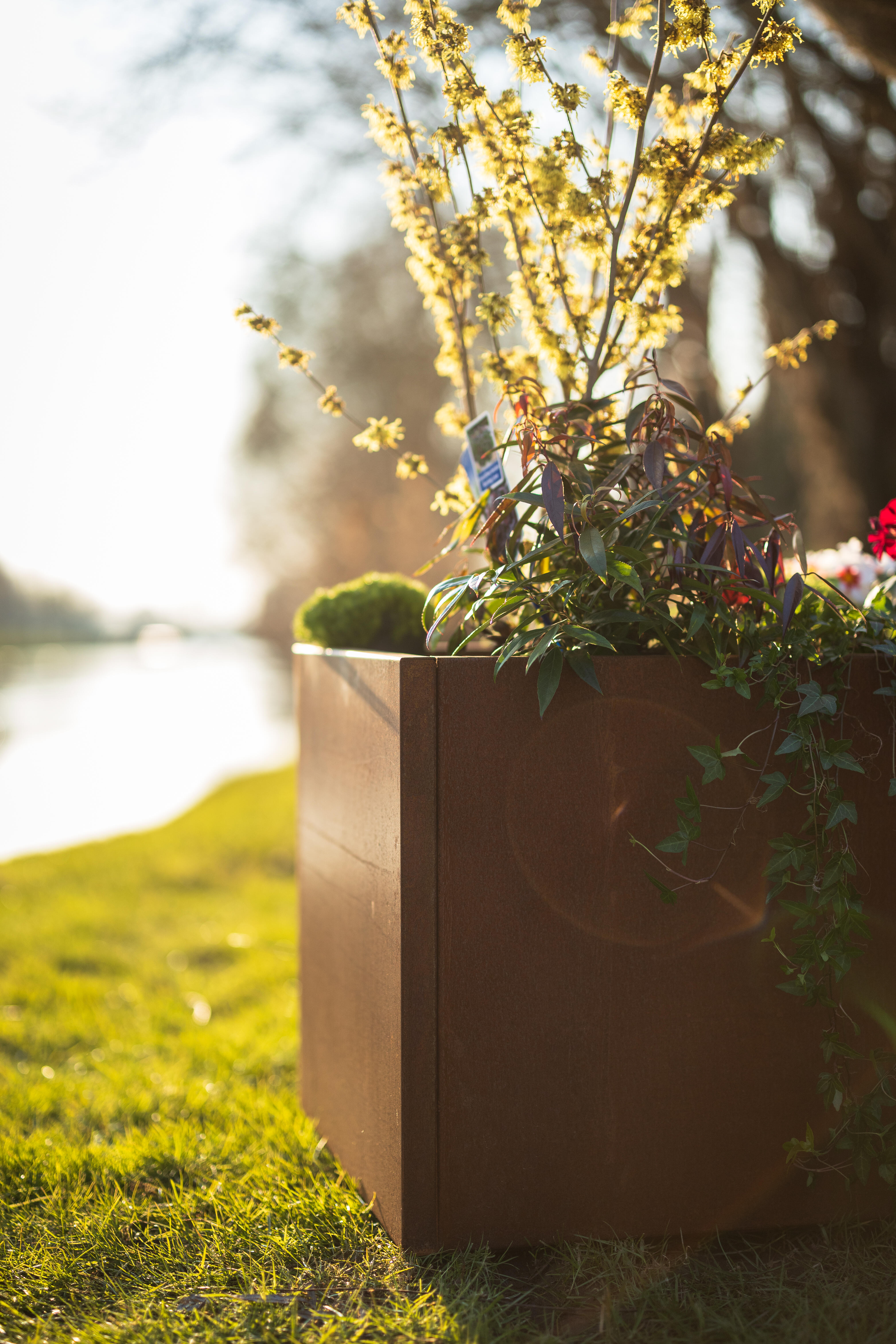Pflanzengefäß Corten 50 x 50 x 100cm