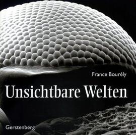 Bücher Gerstenberg, Gebr., GmbH & Co. Hildesheim