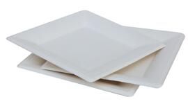 Disposable Plates bepulp