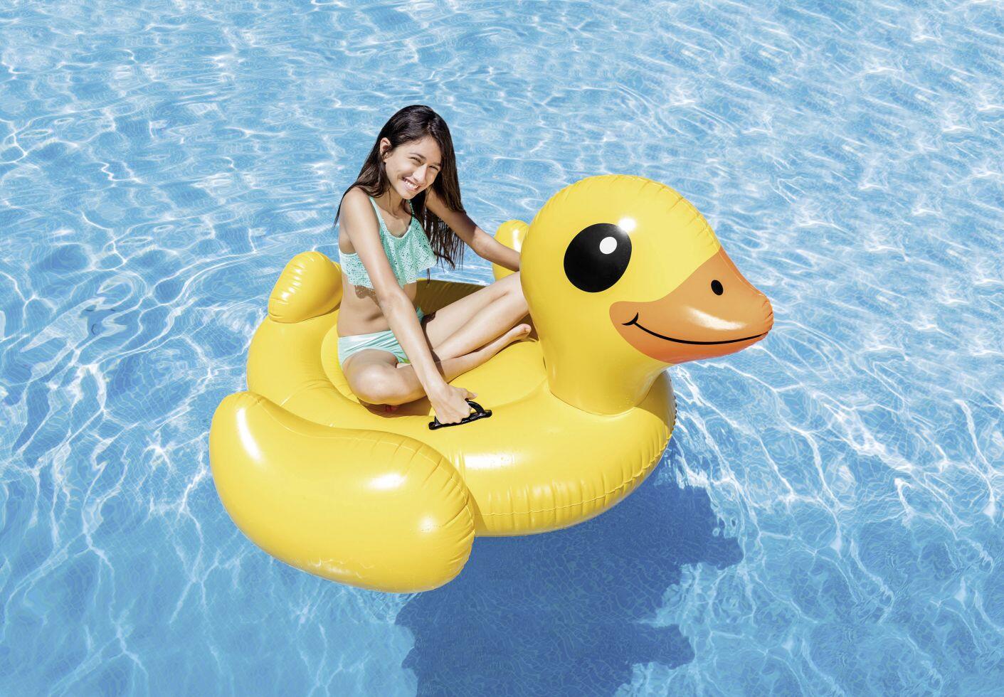 Steinbach canard 147 x 147 x 81 cm