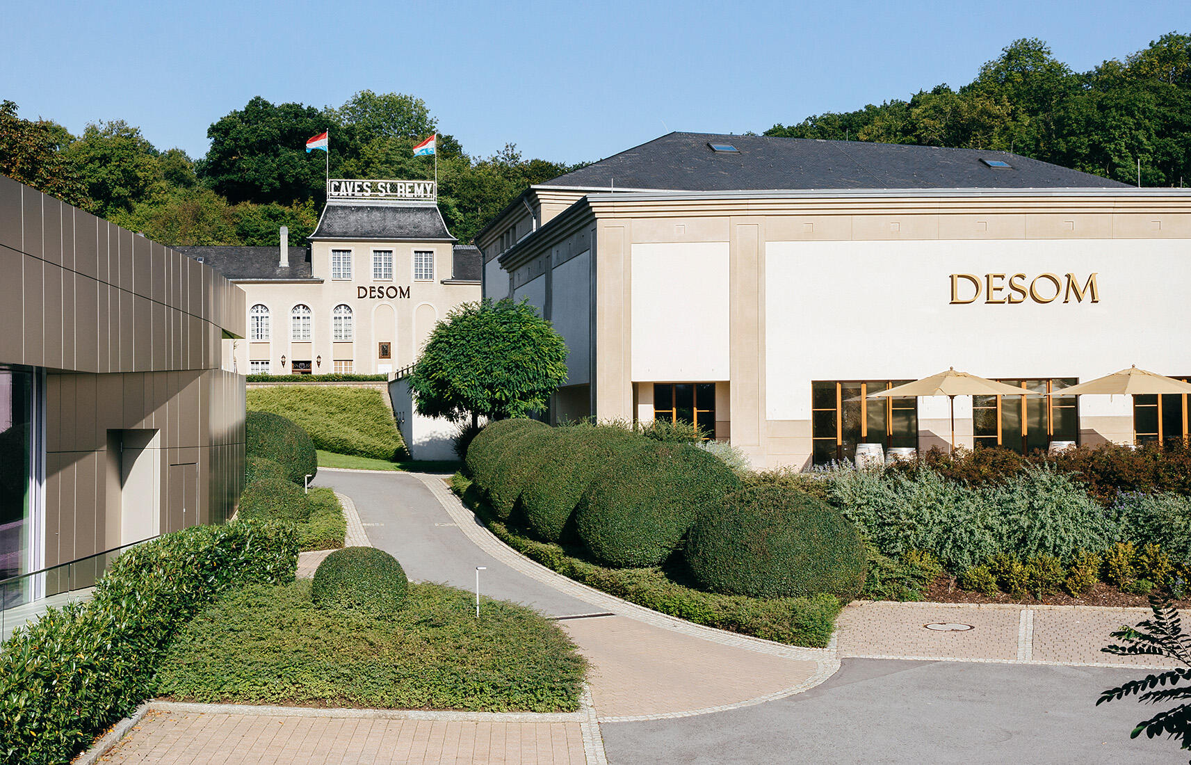 Caves St Remy - DESOM