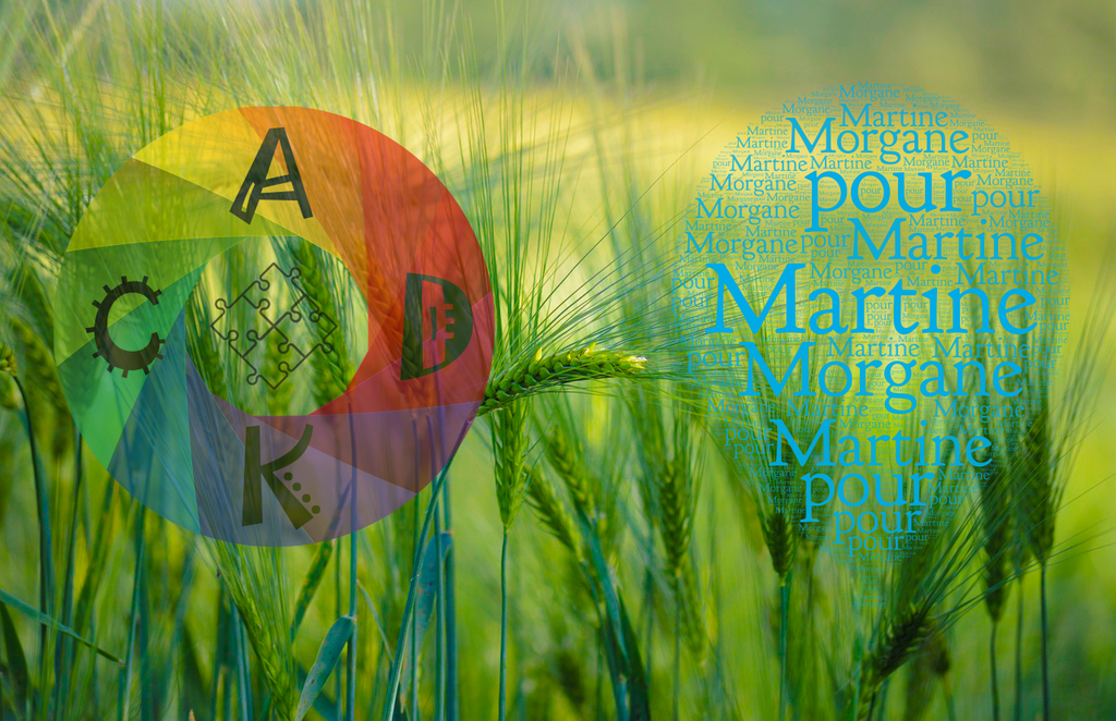 A.K. Creation & Design S.àr.l.-S. Logo