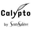 Calypto Logo