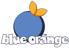 Blue Orange Logo
