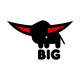 BIG Logo