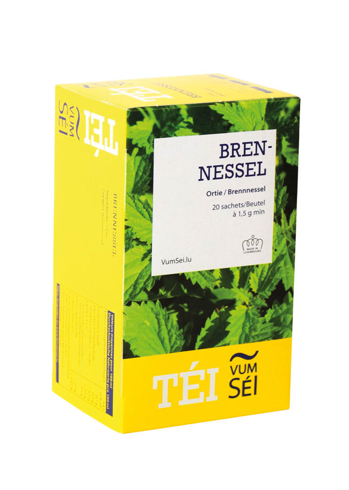 Tisane en  infusettes : Ortie