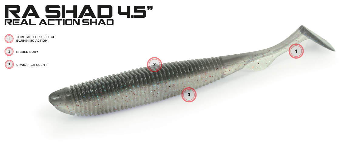 RA Shad 3" – Molix - Pesca Fish - 2