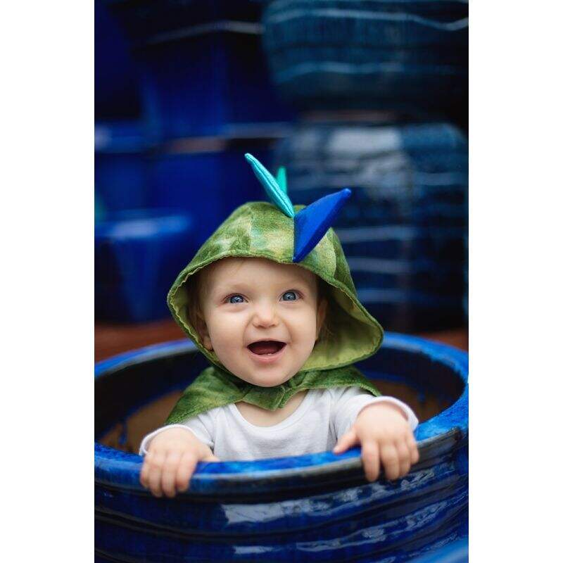 Costume bebe 2 ans deals