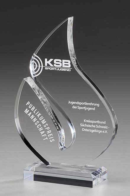 Brilliance Acrylic Award 74003, 220mm, Acrylic clear Award including engraving