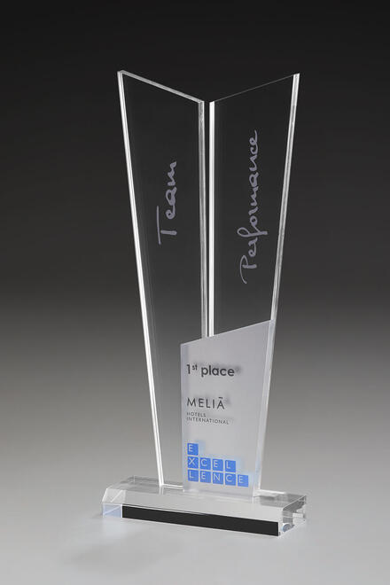 Acrylic Ice Royal Award 73503, 320mm, acrylique, gravure individuelle incluse