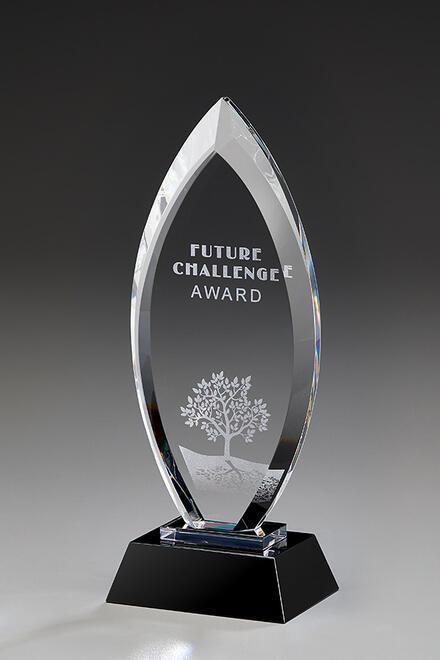 Majestic Award 79042, Crystal Awards, 245mm gravure incluse