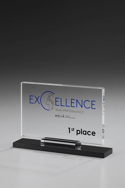 Crystal Screen Award 79065, Crystal Awards, 180x130mm including engraving