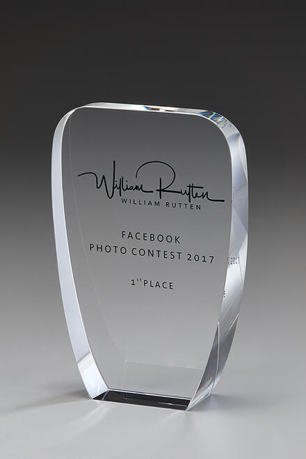 Unity Award 79041, Crystal Awards, 200 mm gravure incluse