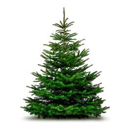 Festtags-Dekoartikel Weihnachtsbaum - Sapin de Noël 100/125
