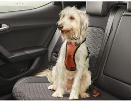 Pet Collars & Harnesses Vehicle Parts & Accessories Seat Original Zubehör