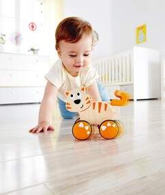 Hape push toy online
