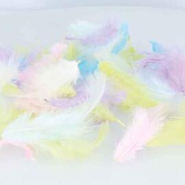 Feathers Artemio