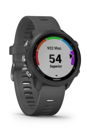 245 garmin best sale