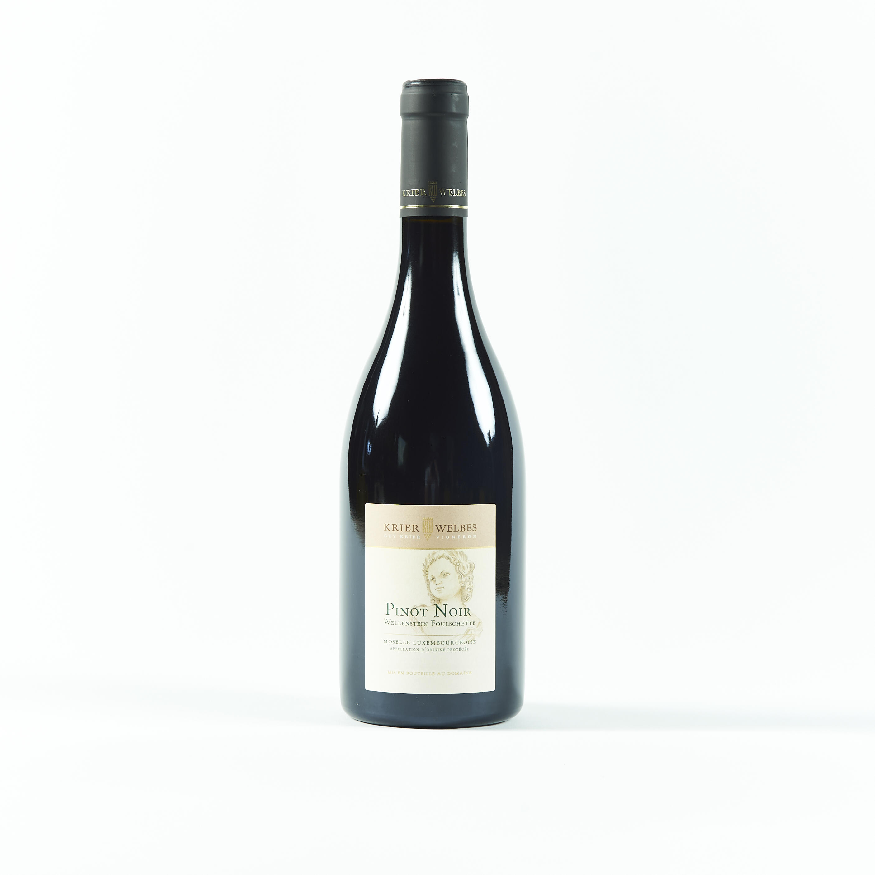 Pinot Noir 2020 Wellenstein Foulschette "bio"