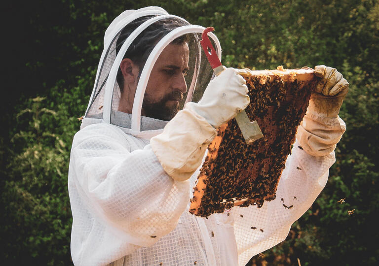 De Beiefritz Moutfort