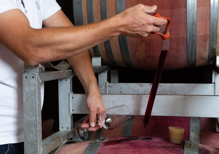 SCHLINK domaine viticole Machtum