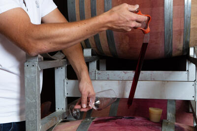 SCHLINK domaine viticole