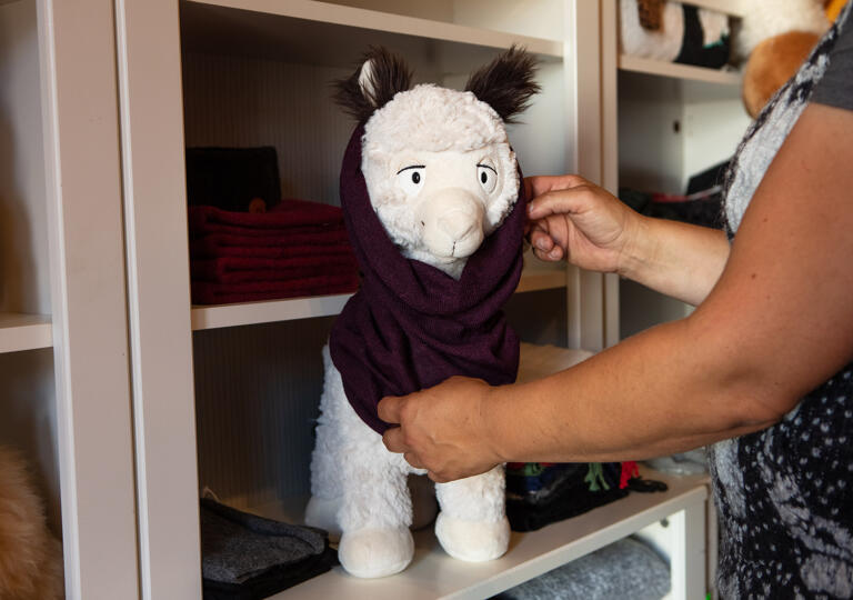Boutique Wonderwool Mertzig