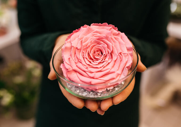 Atelier créatif Petra Steinfort