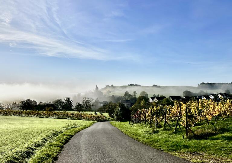 Distillerie Diedenacker Niederdonven
