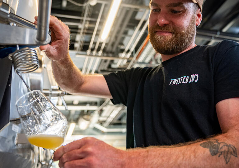 Twisted Cat Dudelange