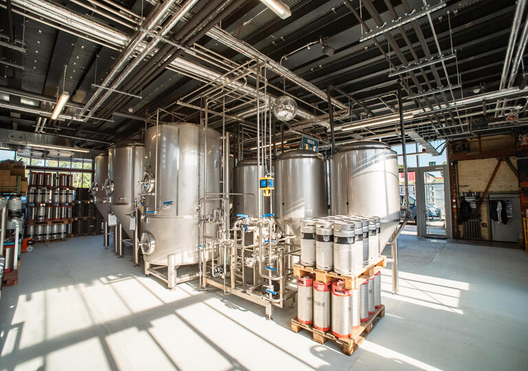 Twisted Cat Dudelange