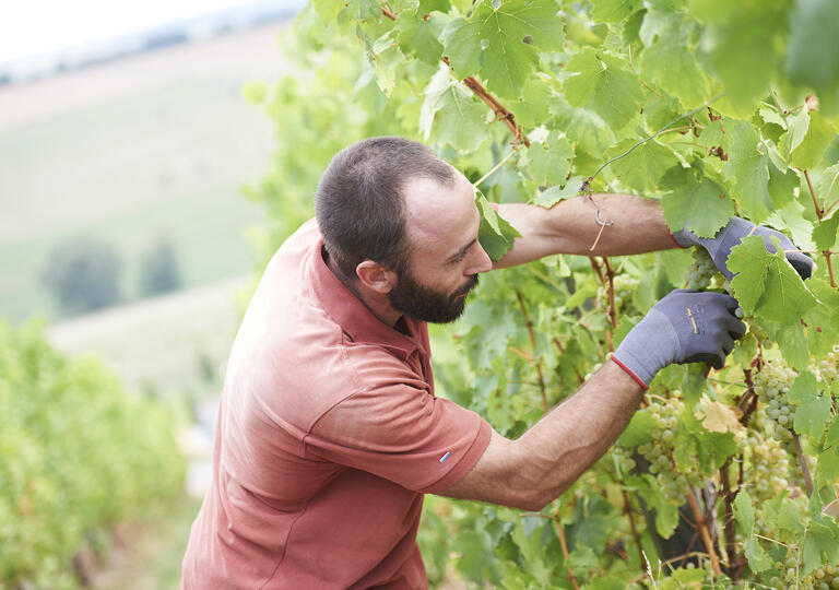 Domaine Mathes Wormeldange