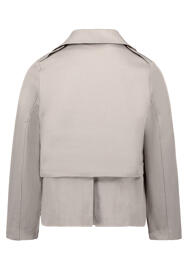 Blazer CARTOON