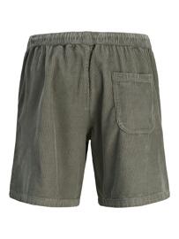 Bermuda & Shorts JACK&JONES