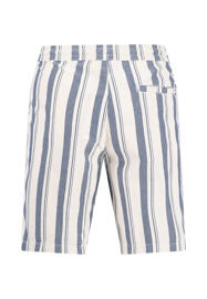 Bermuda & Shorts FYNCH-HATTON