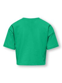 T-Shirt 1/2 Arm KIDS ONLY