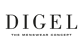 DIGEL - THE MENSWEAR CONCEPT Logo