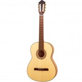 Akustikgitarren Höfner