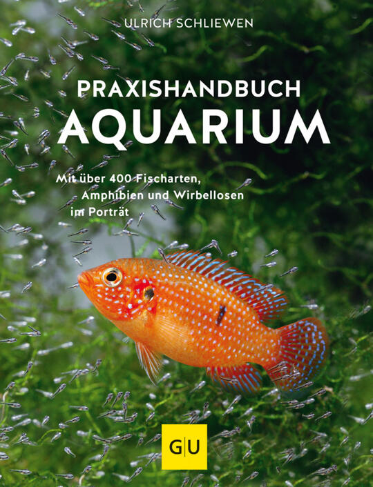 Praxishandbuch Aquarium | Schliewen, Ulrich
