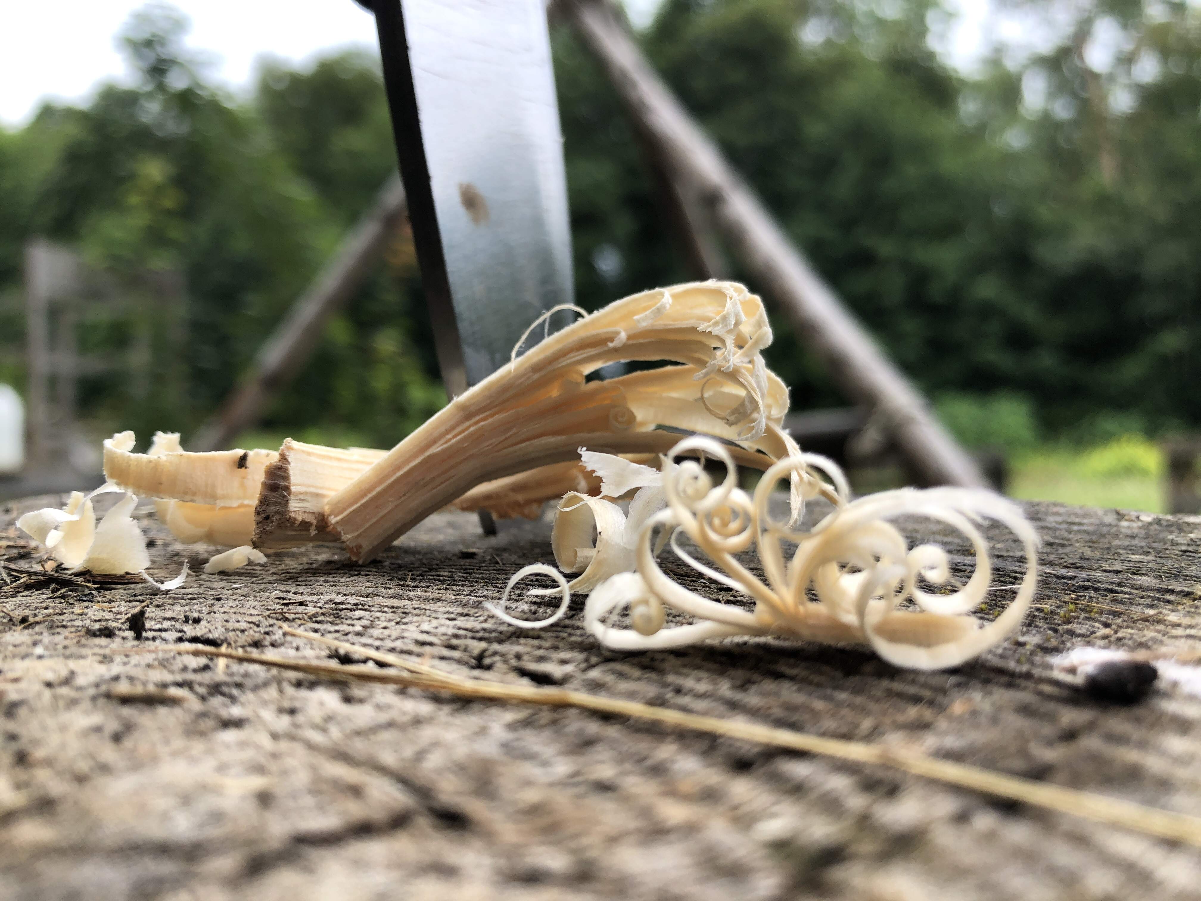 Natursprünglich Horb am Neckar