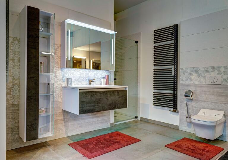 sanitherm Mannheim Mannheim